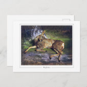 ローザボネール#127 -ファインアート ポストカード (正面/裏面)