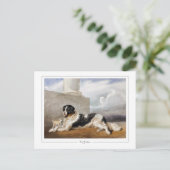 ローザボネール#150 -ファインアート ポストカード (スタンド正面)