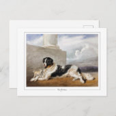 ローザボネール#150 -ファインアート ポストカード (正面/裏面)