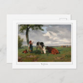 ローザボネール#166 -ファインアート ポストカード (正面/裏面)