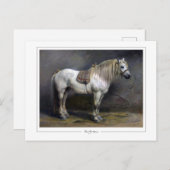 ローザボネール#59 -ファインアート ポストカード (正面/裏面)