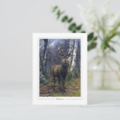 ローザボネール#5 -ファインアート ポストカード (スタンド正面)