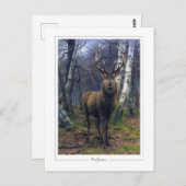 ローザボネール#5 -ファインアート ポストカード (正面/裏面)