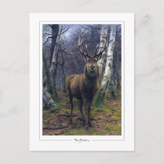 ローザボネール#5 -ファインアート ポストカード (正面)