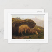 ローザボネール#67 -ファインアート ポストカード (正面/裏面)