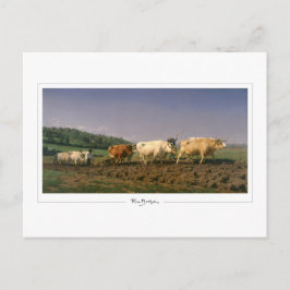 ローザボネール#68 -ファインアート ポストカード