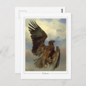 ローザボネール#84 -ファインアート ポストカード (正面/裏面)