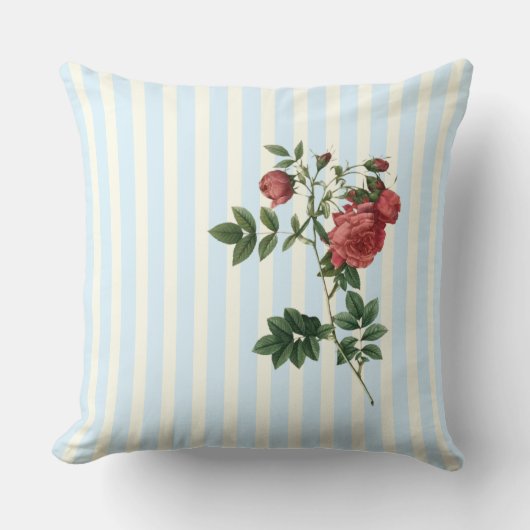 ローザラパアイボリー&ブルーストリップ クッション (正面)