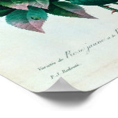 ローザルテアとローザインディカ ポスター (角)