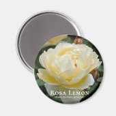 ローザレモン マグネット (正面/裏面)