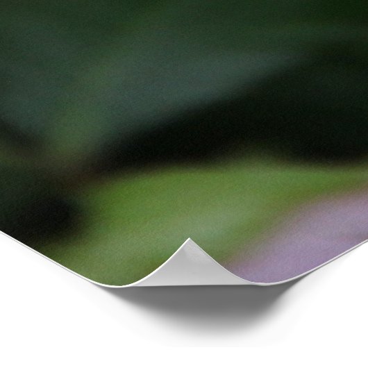 ローザローズ ポスター (角)