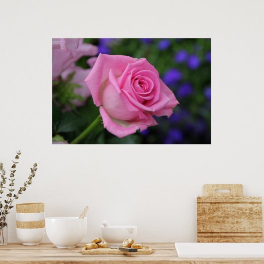 ローザローズ ポスター (キッチン)