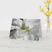 ローザ白い空白のなカード カード (黄色い花)