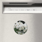 ローザ素晴らしい！ マグネット (インサイチュ (食洗機))