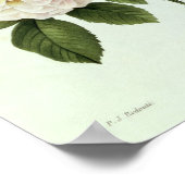 ローザ：ベンガール・ザ・ハイメネス ポスター (角)