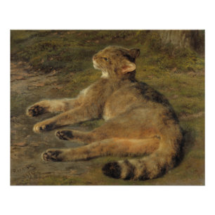 ローザ・ボネール野生猫1850 ポスター