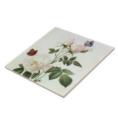 ローザ: Bengale 「LesのバラからのHymenes、 タイル (側面)