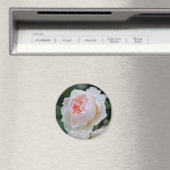 ローザ"L'ハイバー" マグネット (インサイチュ (食洗機))