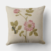 ローザCanina - Dogroseおよび幼虫(鉛筆及びとの クッション (裏面)