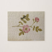 ローザCanina - Dogroseおよび幼虫(鉛筆及びとの ジグソーパズル (横)