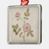 ローザCanina - Dogroseおよび幼虫(鉛筆及びとの メタルオーナメント (左)