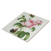 ローザCentifolia タイル (側面)