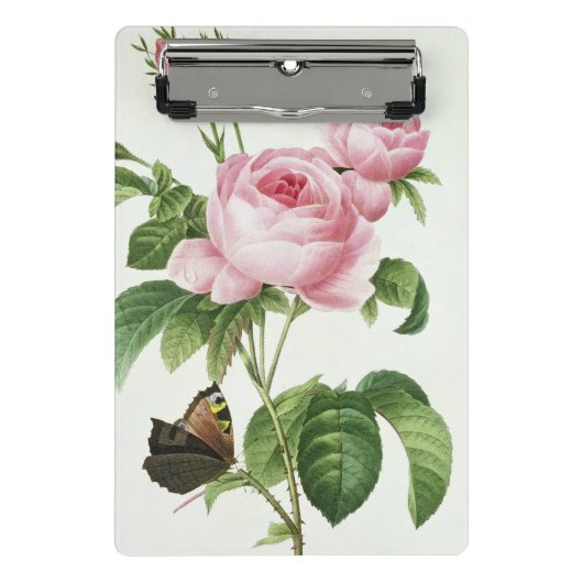 ローザCentifolia ミニクリップボード (正面)