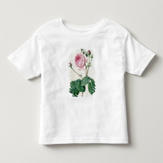 ローザCentifolia Bullata トドラーTシャツ (正面)