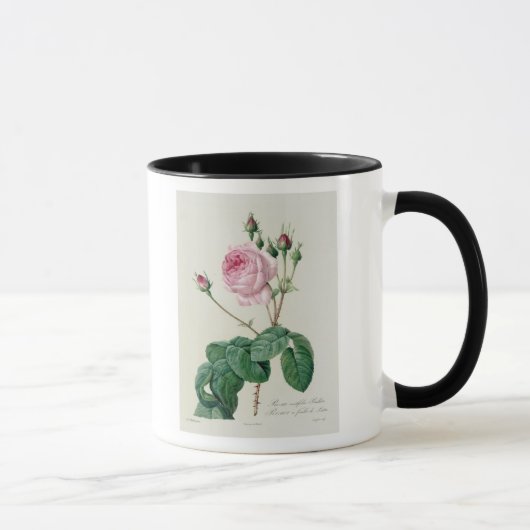 ローザCentifolia Bullata マグカップ (右)