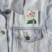 ローザCentifolia Bullata 缶バッジ (インサイチュ)