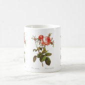 ローザCentifolia Foliacea コーヒーマグカップ (中央)