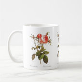 ローザCentifolia Foliacea コーヒーマグカップ (左)