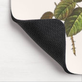 ローザCentifolia Foliacea マウスパッド (コーナー)