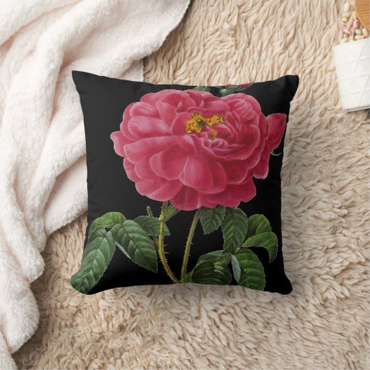 ローザGallica クッション (ブランケット)