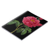 ローザGallica ノートブック (左側)