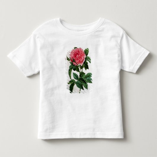 ローザGallica Regallis トドラーTシャツ (正面)