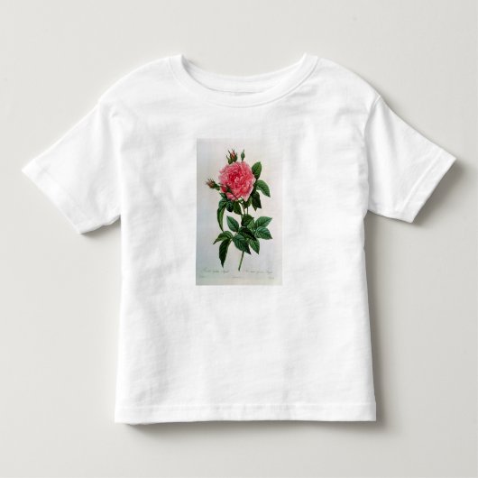 ローザGallica Regallis トドラーTシャツ (正面)