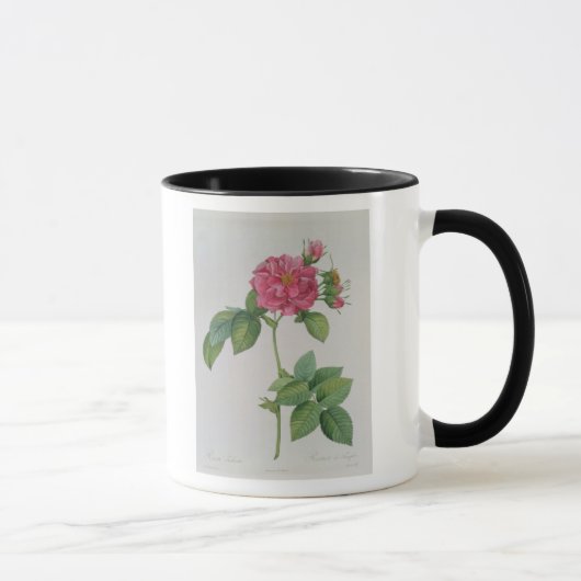ローザTurbinata、から、Les Roses', Vol. 1 1817年 マグカップ (右)