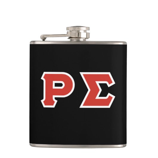 ローシグマフラスコ フラスク (正面)