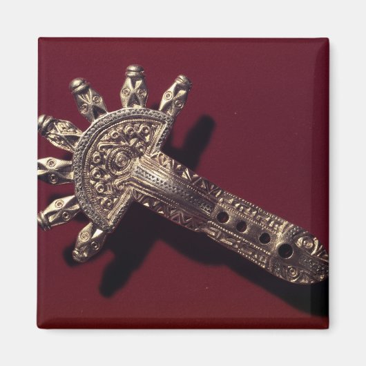 ローシャ・フィブラ マグネット (正面)