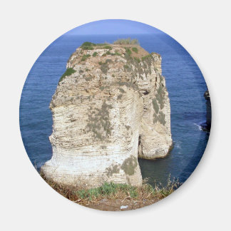 ローシー岩 マグネット