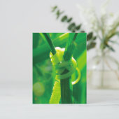 ロージーザリベータースイーツピーつる植物勇気付けられる ポストカード (スタンド正面)