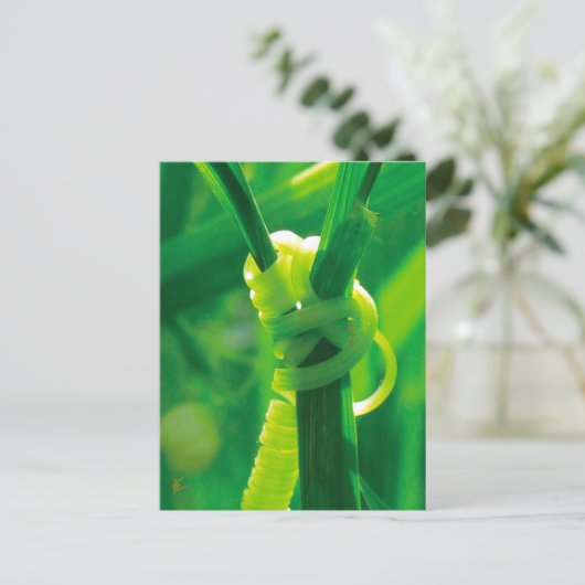 ロージーザリベータースイーツピーつる植物勇気付けられる ポストカード (スタンド正面)