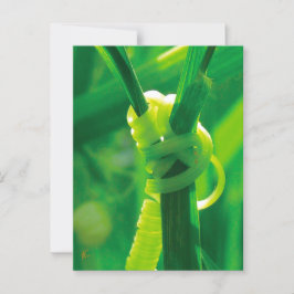 ロージーザリベータースイーツピーつる植物勇気付けられる ポストカード