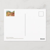 ロージーロン、プロヴァンス、オークルとバラ色の崖 ポストカード (裏面)