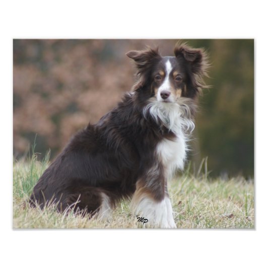 ロージー1 フォトプリント            (正面)