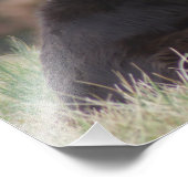 ロージー1 フォトプリント            (角)