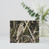 ロージー・グロス・ポストカード ポストカード (スタンド正面)