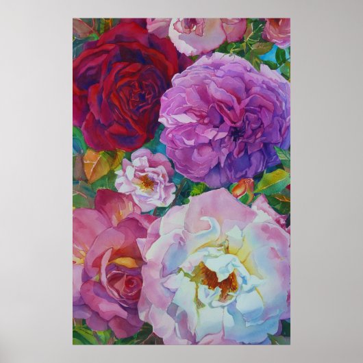 ロージー ポスター (正面)