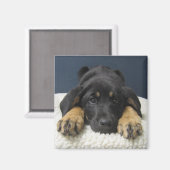 ロージー マグネット (正面/裏面)